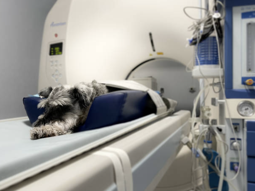 Fighting the Human Error Gap in Diagnostic Imaging