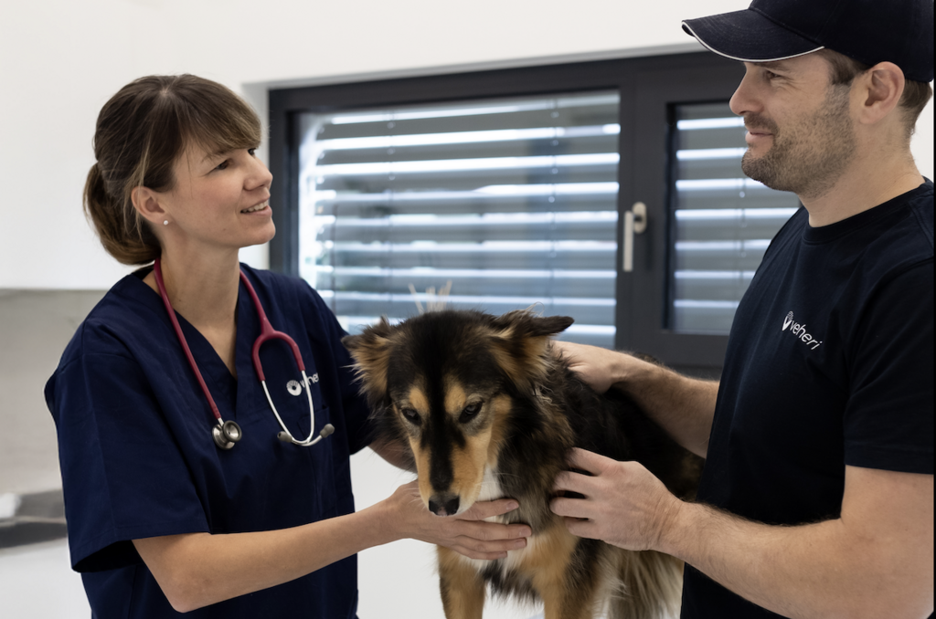 History and evolution of veterinary medicine
