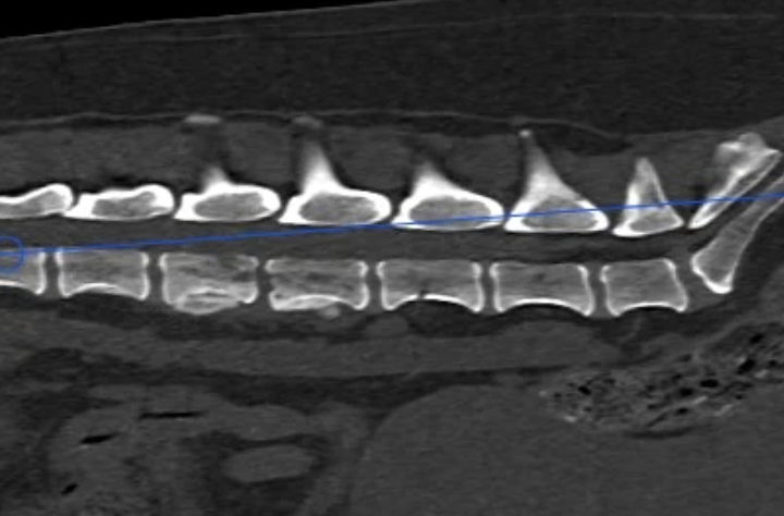 Case of the month January