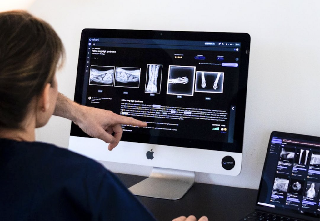 From Radiography to Advanced Imaging: A Clinical Guide to Vet Imaging Diagnosis