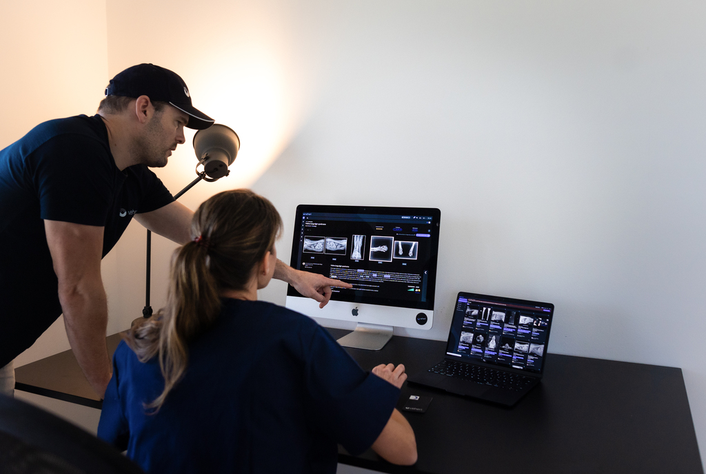 Instant X-ray Reports with The Veterinarian’s Assistant | Metron IQ Veterinary Teleradiology