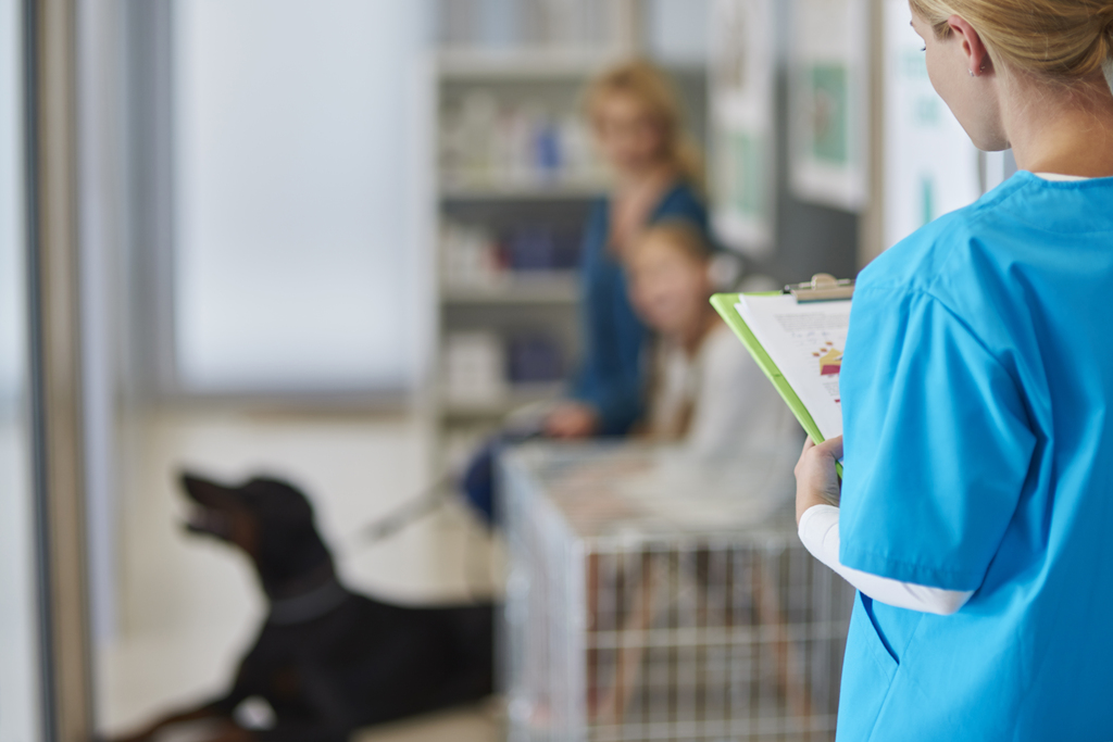 When is a CT scan indicated in veterinary medicine?