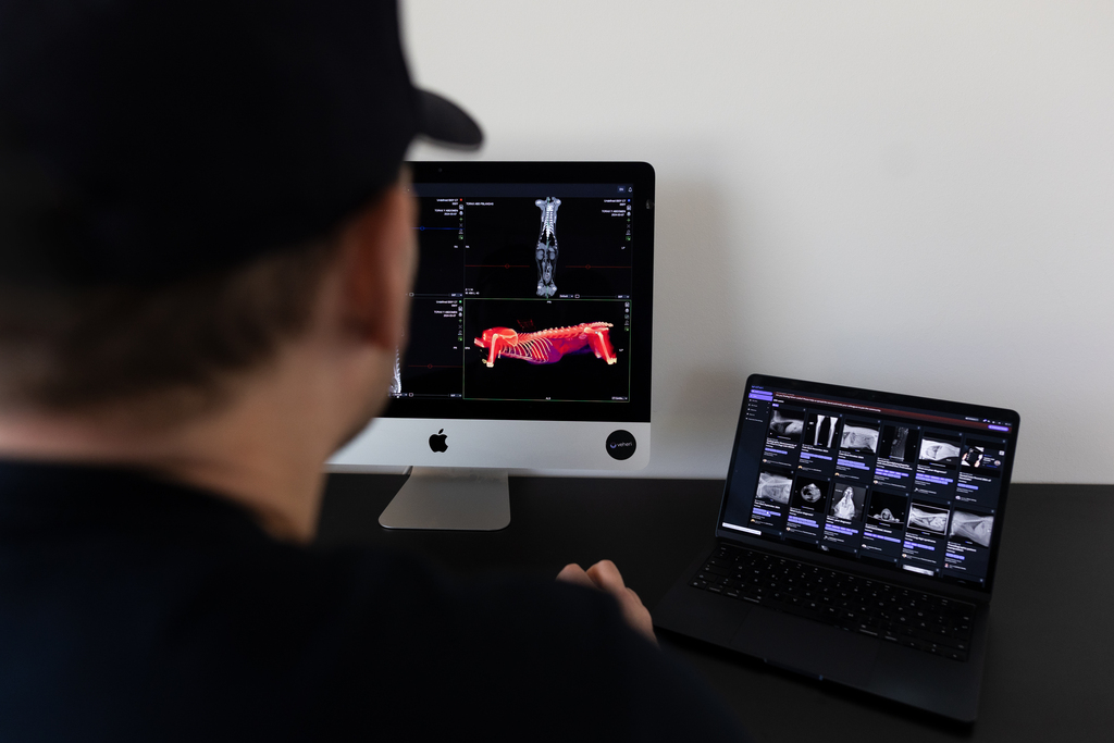 Veterinary Teleradiology: Complete Guide to Remote Diagnostic Imaging for Veterinary Practices